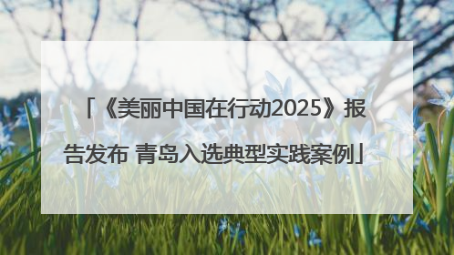 《美丽中国在行动2025》报告发布 青岛入选典型实践案例