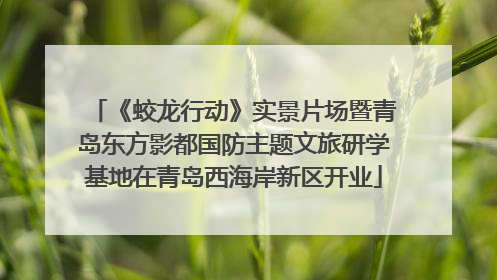 《蛟龙行动》实景片场暨青岛东方影都国防主题文旅研学基地在青岛西海岸新区开业