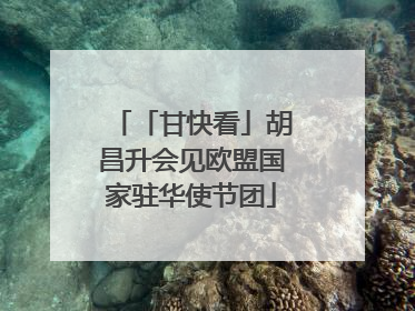 「甘快看」胡昌升会见欧盟国家驻华使节团
