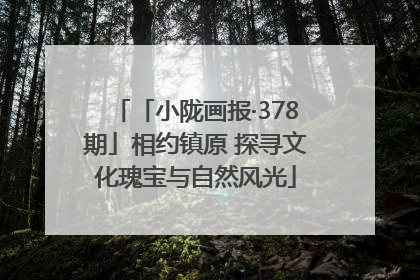 「小陇画报·378期」相约镇原 探寻文化瑰宝与自然风光