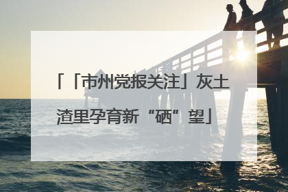 「市州党报关注」灰土渣里孕育新“硒”望