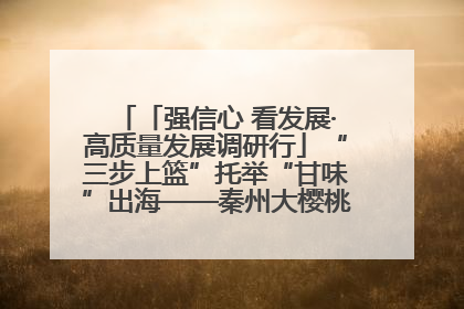 「强信心 看发展·高质量发展调研行」“三步上篮”托举“甘味”出海——秦州大樱桃高质量发展动作分解
