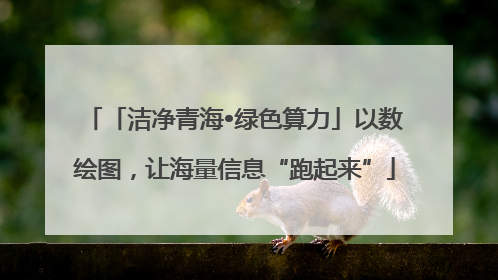 「洁净青海•绿色算力」以数绘图，让海量信息“跑起来”
