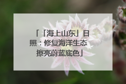 「海上山东」日照：修复海洋生态 擦亮蔚蓝底色
