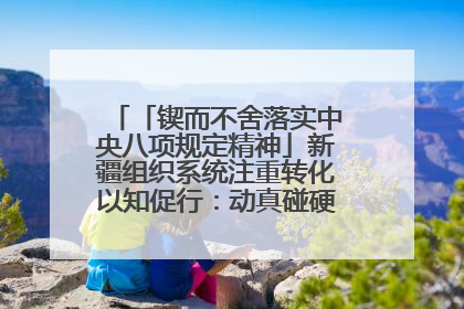 「锲而不舍落实中央八项规定精神」新疆组织系统注重转化以知促行：动真碰硬抓好整改整治