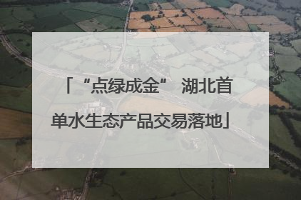 “点绿成金” 湖北首单水生态产品交易落地