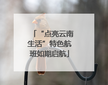 “点亮云南生活”特色航班如期启航