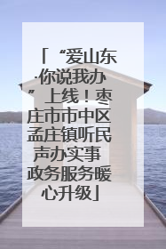 “爱山东·你说我办”上线！枣庄市市中区孟庄镇听民声办实事 政务服务暖心升级