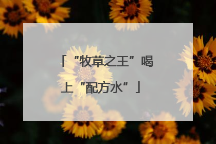 “牧草之王”喝上“配方水”