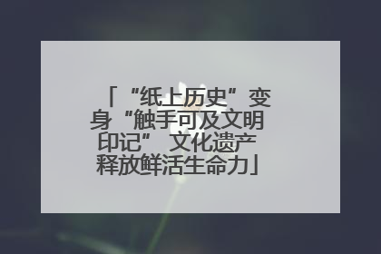 “纸上历史”变身“触手可及文明印记” 文化遗产释放鲜活生命力
