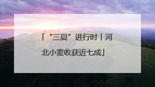 “三夏”进行时丨河北小麦收获近七成