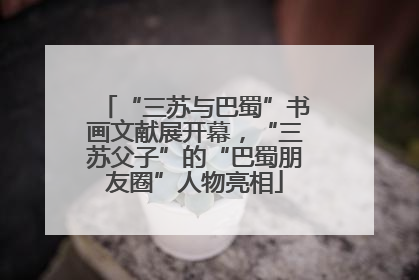 “三苏与巴蜀”书画文献展开幕，“三苏父子”的“巴蜀朋友圈”人物亮相
