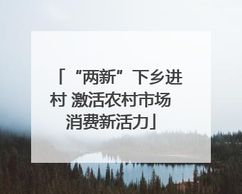 “两新”下乡进村 激活农村市场消费新活力
