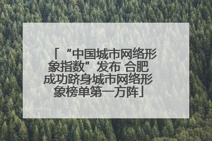 “中国城市网络形象指数”发布 合肥成功跻身城市网络形象榜单第一方阵