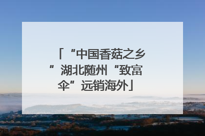 “中国香菇之乡”湖北随州“致富伞”远销海外