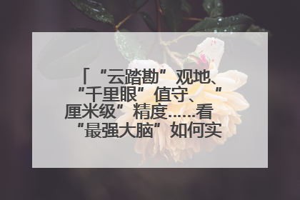 “云踏勘”观地、“千里眼”值守、“厘米级”精度……看“最强大脑”如何实现智慧治理