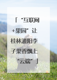 “互联网+果园”让桂林灌阳李子果香飘上“云端”