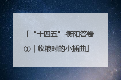 “十四五”·衡阳答卷③｜收粮时的小插曲