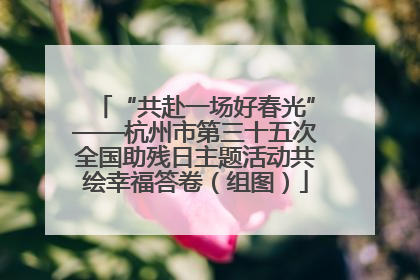 “共赴一场好春光”——杭州市第三十五次全国助残日主题活动共绘幸福答卷（组图）