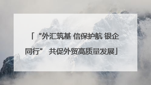 “外汇筑基 信保护航 银企同行” 共促外贸高质量发展