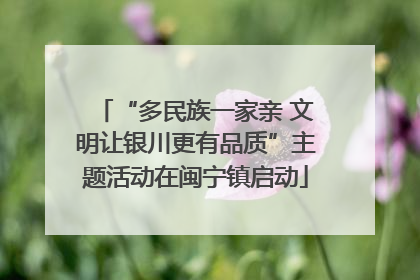 “多民族一家亲 文明让银川更有品质”主题活动在闽宁镇启动