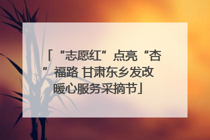 “志愿红”点亮“杏”福路 甘肃东乡发改暖心服务采摘节