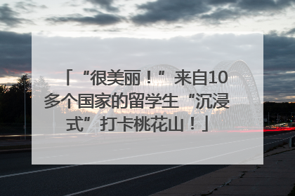 “很美丽！”来自10多个国家的留学生“沉浸式”打卡桃花山！