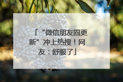 “微信朋友圈更新”冲上热搜！网友：舒服了