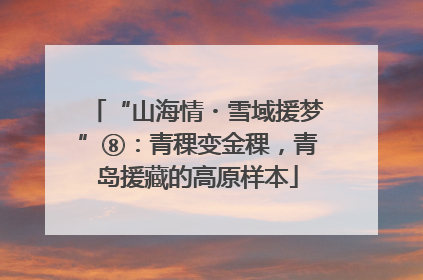 “山海情・雪域援梦”⑧：青稞变金稞，青岛援藏的高原样本