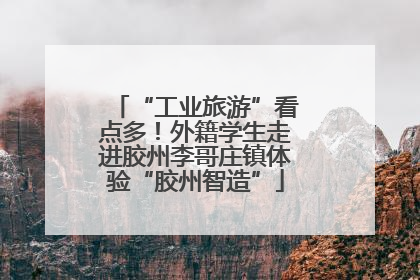“工业旅游”看点多！外籍学生走进胶州李哥庄镇体验“胶州智造”