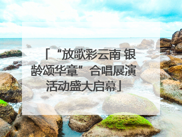“放歌彩云南 银龄颂华章”合唱展演活动盛大启幕