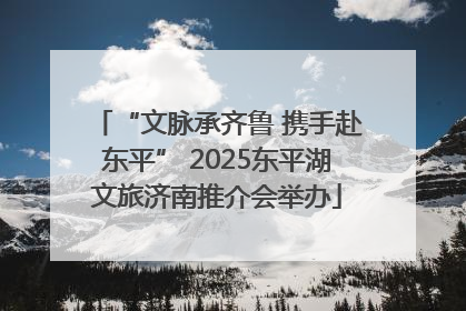 “文脉承齐鲁 携手赴东平” 2025东平湖文旅济南推介会举办