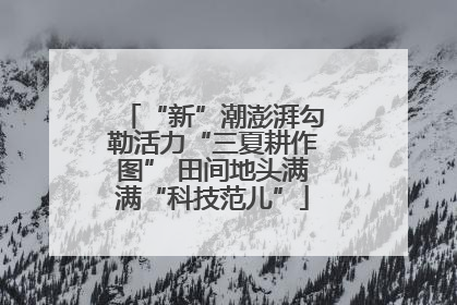 “新”潮澎湃勾勒活力“三夏耕作图” 田间地头满满“科技范儿”
