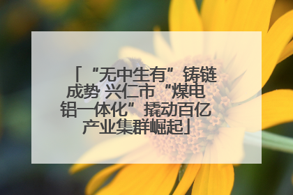 “无中生有”铸链成势 兴仁市“煤电铝一体化”撬动百亿产业集群崛起