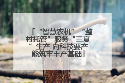 “智慧农机”“整村托管”服务“三夏”生产 向科技要产能筑牢丰产基础