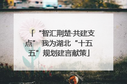 “智汇荆楚·共建支点” 我为湖北“十五五”规划建言献策