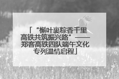 “槲叶裹粽香千里 高铁共筑振兴路”——郑客高铁四队端午文化专列温情启程