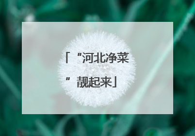 “河北净菜”靓起来