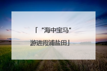 “海中宝马”游进霞浦盐田