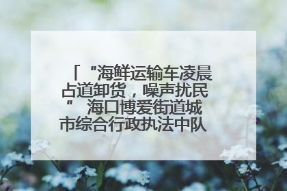 “海鲜运输车凌晨占道卸货，噪声扰民” 海口博爱街道城市综合行政执法中队：将联合交警加强长堤路一带巡逻
