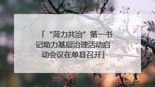 “菏力共治”第一书记助力基层治理活动启动会议在单县召开