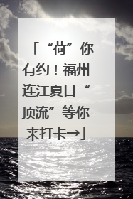 “荷”你有约！福州连江夏日“顶流”等你来打卡→