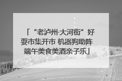 “老泸州·大河街”好耍市集开市 机器狗助阵端午美食美酒亲子乐