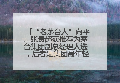 “老茅台人”向平、张贵超获推荐为茅台集团副总经理人选，后者是集团最年轻党委委员
