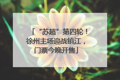 “苏超”第四轮！徐州主场迎战镇江，门票今晚开售