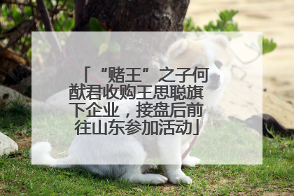 “赌王”之子何猷君收购王思聪旗下企业，接盘后前往山东参加活动