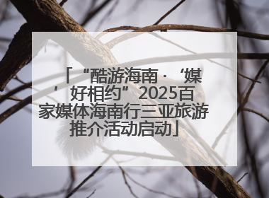 “酷游海南 ·‘媒’好相约”2025百家媒体海南行三亚旅游推介活动启动