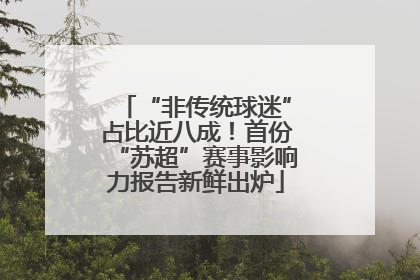“非传统球迷”占比近八成！首份“苏超”赛事影响力报告新鲜出炉