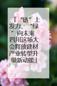 “链”上发力、“绿”向未来 四川这场大会释放建材产业转型升级新动能