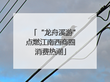 “龙舟溪游”点燃江南西商圈消费热潮